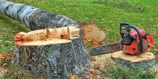 Best Tree Health Inspection  in Oakland, MD