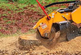 Best Storm Damage Tree Cleanup  in Oakland, MD