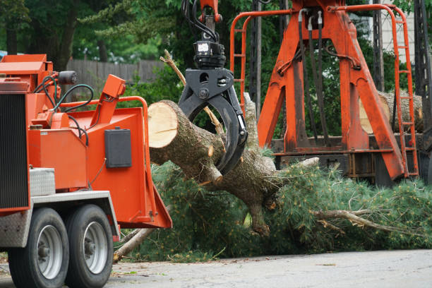 Best Aeration Services  in Oakland, MD