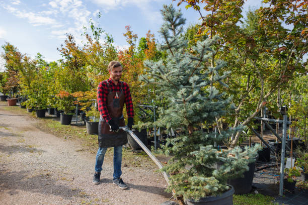 Best Arborist Consultation Services  in Oakland, MD